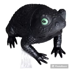 Michael's Black Halloween Toad NWT